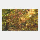 Pesquisar por copia adesivos Queda