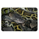 Pesquisar por cobre imas Amor