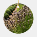 Pesquisar por lavanda ornamentos Verão