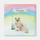 Pesquisar por ragdoll imas Branco