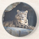 Pesquisar por leopardo de neve porta copos Vida selvagem