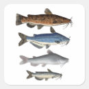 Pesquisar por pesca adesivos Água fresca