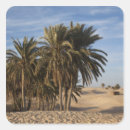 Pesquisar por paisagem africana adesivos Deserto do sahara