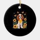 Pesquisar por cavalier ornamentos Cachorros