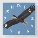 Pesquisar por voo relogios de parede Natureza