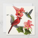 Pesquisar por colibri convites Pássaro