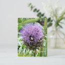 Pesquisar por alcachofras cartoes postais Flores