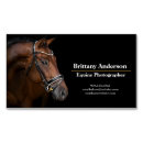 Pesquisar por horse cartao de visita Elegante