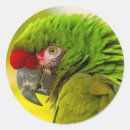 Pesquisar por arara adesivos Animal