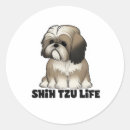 Pesquisar por shih tzu adesivos Amante de cachorro