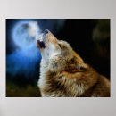 Pesquisar por lobo que urra pôsteres Noite