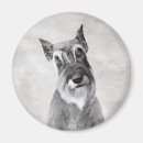Pesquisar por schnauzer gigante imas Padrão