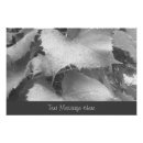 Pesquisar por folha branca pósteres pôsteres Qualquer pessoa