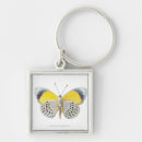 Pesquisar por natureza chaveiros Borboleta