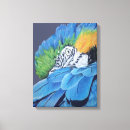 Pesquisar por papagaio azul impressão de canvas Macaw