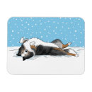 Pesquisar por pastor imas Estante