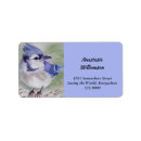 Pesquisar por identificação etiquetas endereco retorno Endereço