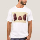 Pesquisar por machados camisetas Pré histórico