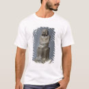 Pesquisar por horus camisetas Antigo