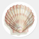 Pesquisar por seashell adesivos Oceano