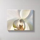 Pesquisar por orquídea branca artes pôsteres Elegante