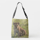 Pesquisar por lion bolsas África