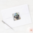 Pesquisar por pug engraçado adesivos Cachorrinho