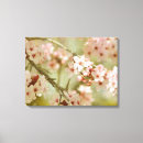 Pesquisar por cerejeira impressão de canvas Flores