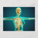 Pesquisar por raio x cartoes postais Esqueleto