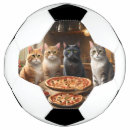 Pesquisar por gatos bola futebol Engraçado