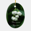 Pesquisar por plantas verdes ornamentos Flores