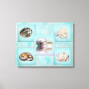 Pesquisar por escudos do mar impressão de canvas Seashells