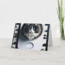 Pesquisar por gatos engraçados animais estimação acessórios Qualquer pessoa