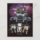 Pesquisar por gato divertido cartoes postais Gatinho