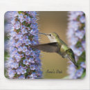 Pesquisar por do colibri Colibris