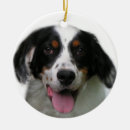 Pesquisar por stuffers da meia ornamentos Cão