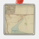 Pesquisar por chester ornamentos Colorido