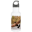 Pesquisar por caça garrafa agua Animal