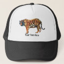 Pesquisar por do tigre bones Laranja