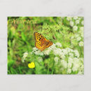 Pesquisar por listras preto e branco cartoes postais For her