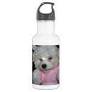 Pesquisar por do filhote cachorro garrafa garrafa agua Bonito