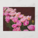 Pesquisar por painting cartoes postais Flores