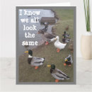 Pesquisar por ganso engraçado cartoes Pato