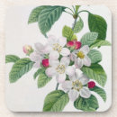 Pesquisar por apple porta copos Flores