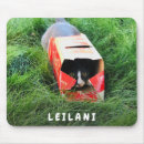 Pesquisar por cute eletronicos Simples