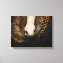 Pesquisar por cobra impressão de canvas Branco
