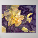 Pesquisar por daffodil pôsteres Aquarela