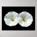 Pesquisar por casa amarela pôsteres Flores