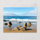 Pesquisar por monterey Natureza