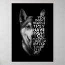 Pesquisar por rouco fotografia Husky siberiano